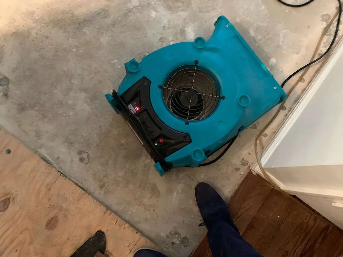Air mover drying subfloor during Commercial Water Damage Restoration in Earlimart